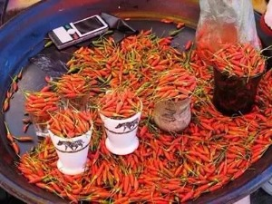 红瓜子传媒