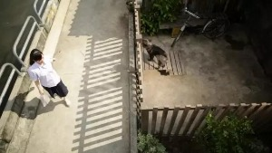 红瓜子传媒