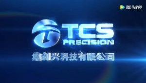 红瓜子传媒