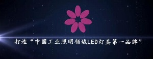 红瓜子传媒
