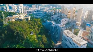 红瓜子传媒