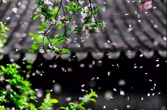 红瓜子传媒